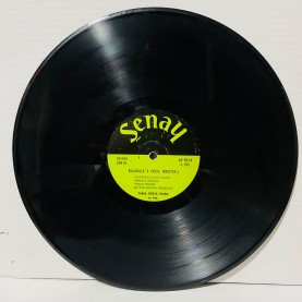 yarım dünya hasan ve arkadaşları - sulukule 3 lp 