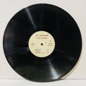 ezginin günlüğü - seni düşünmek lp