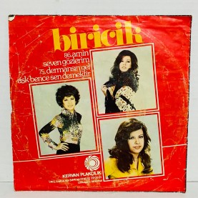BİRİCİK - AMİN - SEVEN GÖZLERİM 45 LİK PLAK