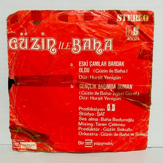 güzin ile baha - gençlik başımda duman - eski çamlar bardak oldu 45 lik plak
