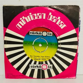 mihrican bahar - ben vartodan yaya geldim - gül dalına konmuş bülbül yavrusu  45 lik plak 