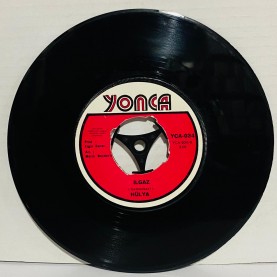 hülya - dört mevsim - ılgaz 45 lik plak 