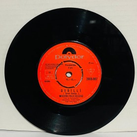 modern folk üçlüsü - dudilli - dözerem 45 lik plak