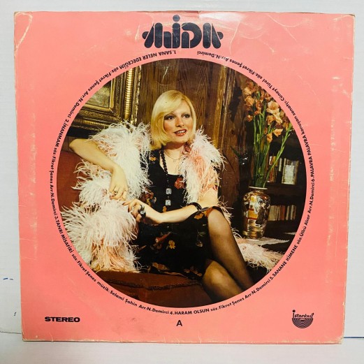 ajda pekkan - hoş gör sen LP 