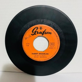 Zeki Müren - Rüzgar Kırdı Dalımi / Gurbet Akşamları 45 lik plak 