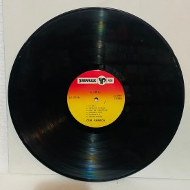 Cem Karaca & Dervişan  - PARKA  LP