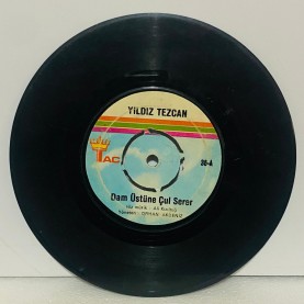 yıldız tezcan - dam üstüne çul serer - şu sazıma düzen ver   45 lik plak 