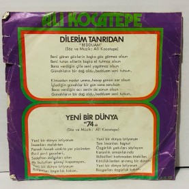 ali kocatepe - dilerim tanrıdan - yeni bir dünya 45 lik plak 