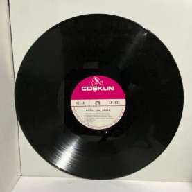 müzeyyen senar lphc 613 LP 