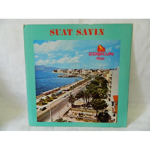 SUAT SAYIN - Suat Sayın LP 607 ( PLAK SS ) 