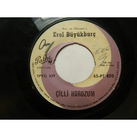 EROL BÜYÜKBURÇ - Gaziantep Yolunda / Çilli Horozum