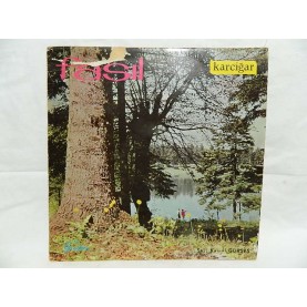 KEMAL GÜRSES - KARCIĞAR FASIL LP