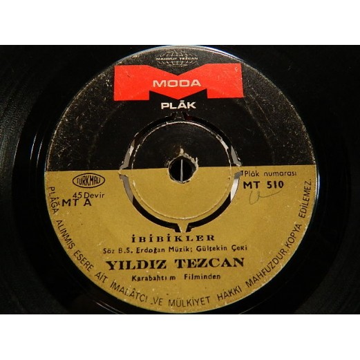 YILDIZ TEZCAN - Felek / İbibikler