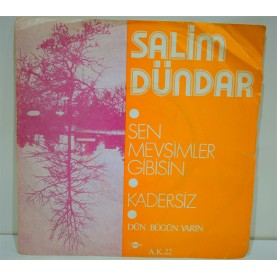 SALİM DÜNDAR -  Sen Mevsimler Gibisin - Kadersiz 